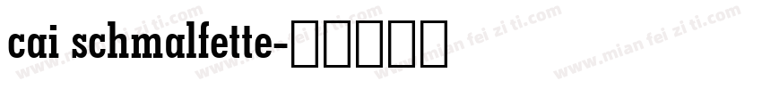 cai schmalfette字体转换